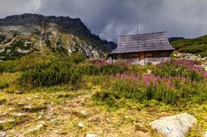 20160819-IMG 6274 tonemappedm